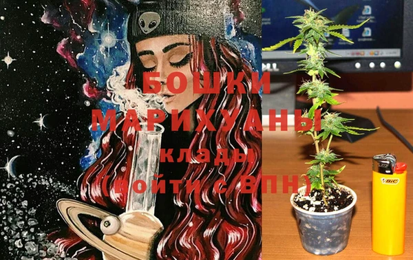 spice Каменногорск
