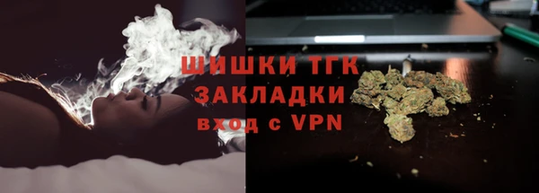 spice Каменногорск