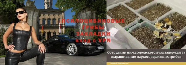 spice Каменногорск