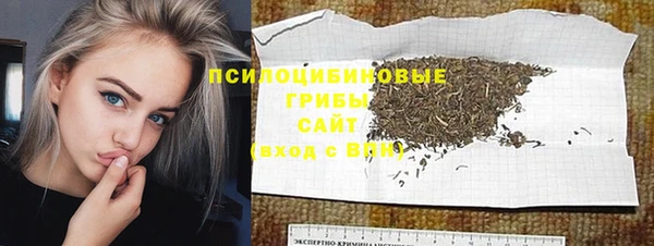 spice Каменногорск