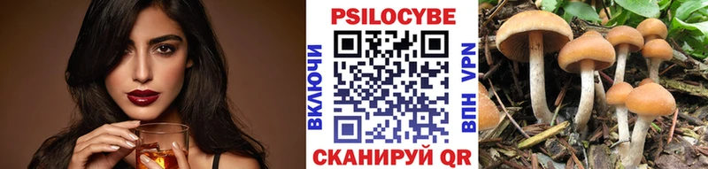 Псилоцибиновые грибы Cubensis  Купить закладки  Чистополь 